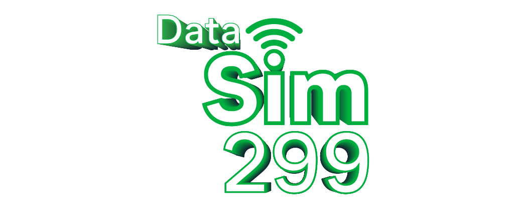 Data SIM 299 EN