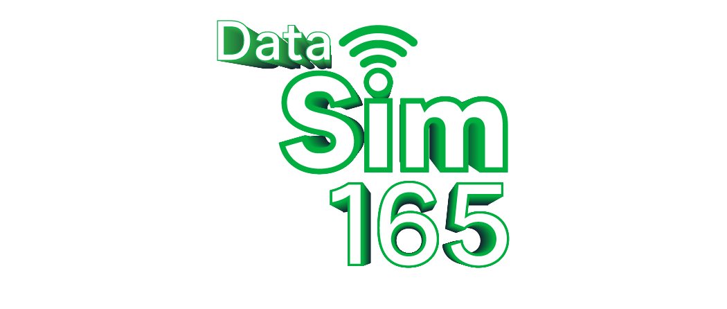 Data SIM 165 EN